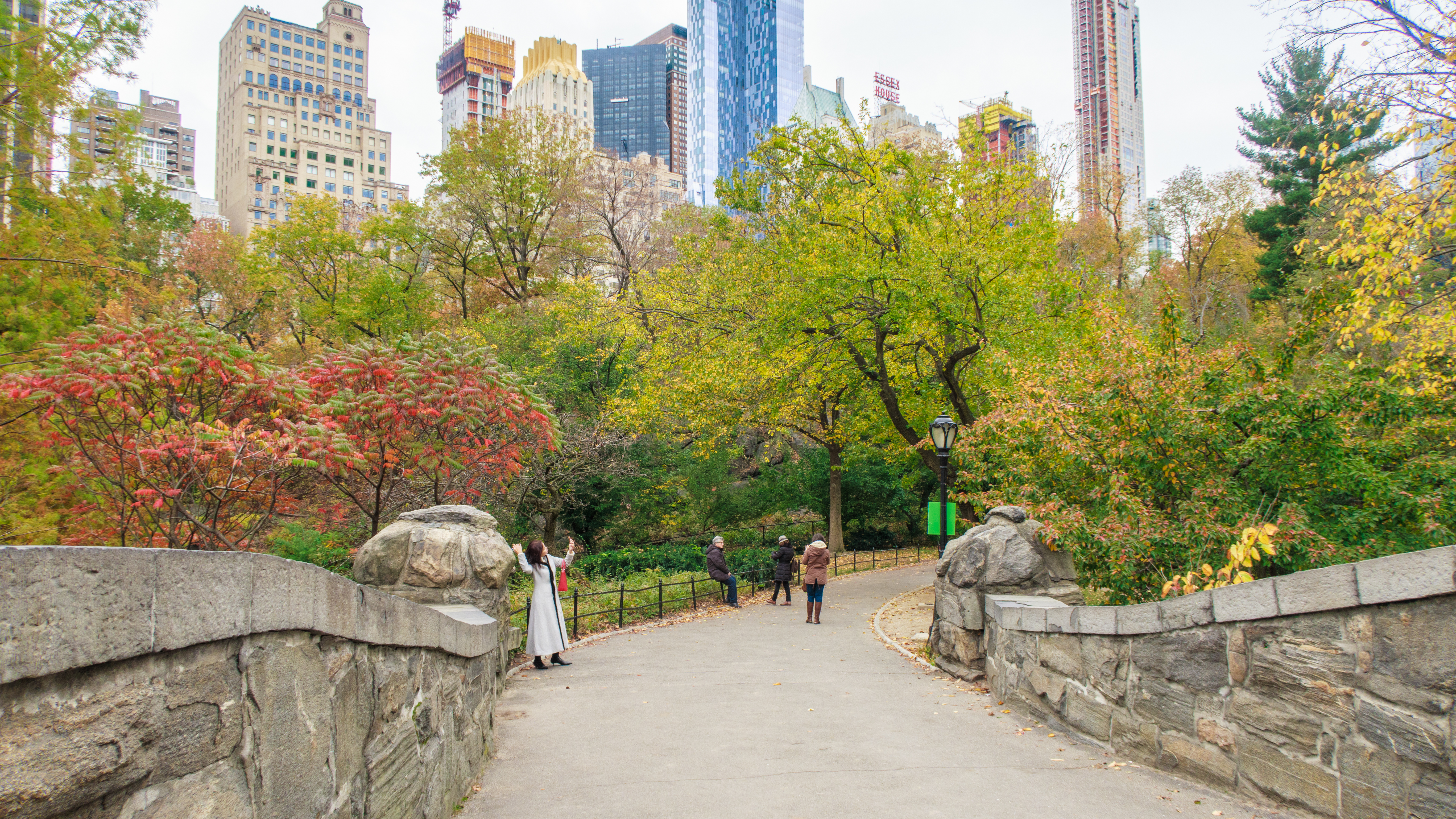 Central Park Manhattan_5614.jpg