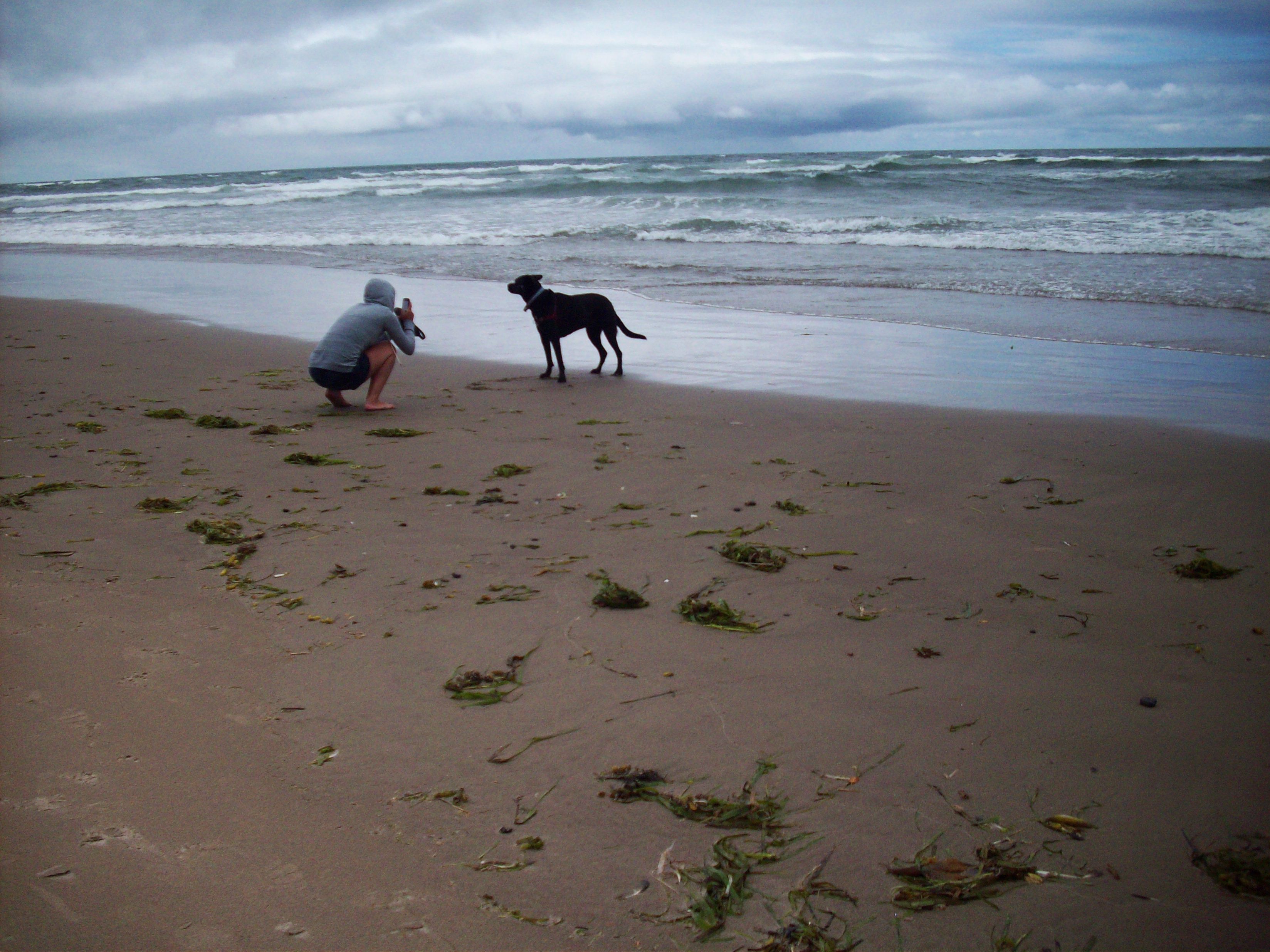 luna oregon coast 2.jpg