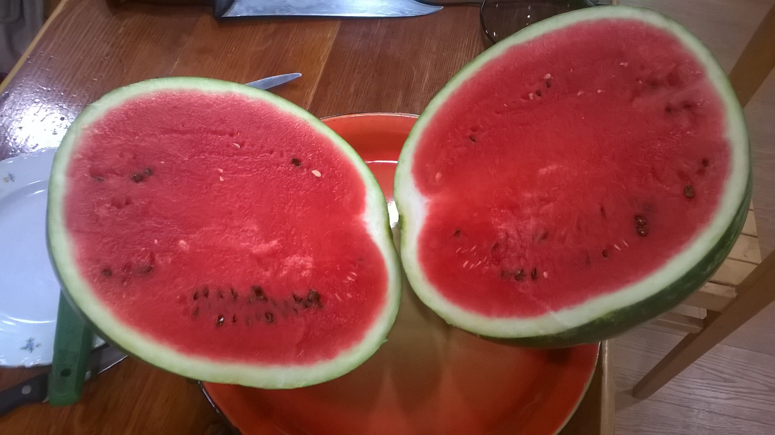 WP_20150705_19_22_14_Pro.jpg