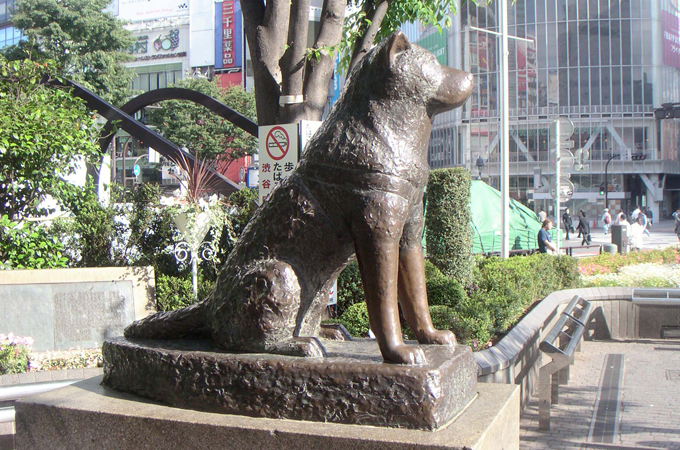 shibuya-hachiko-shibuya-station.jpg