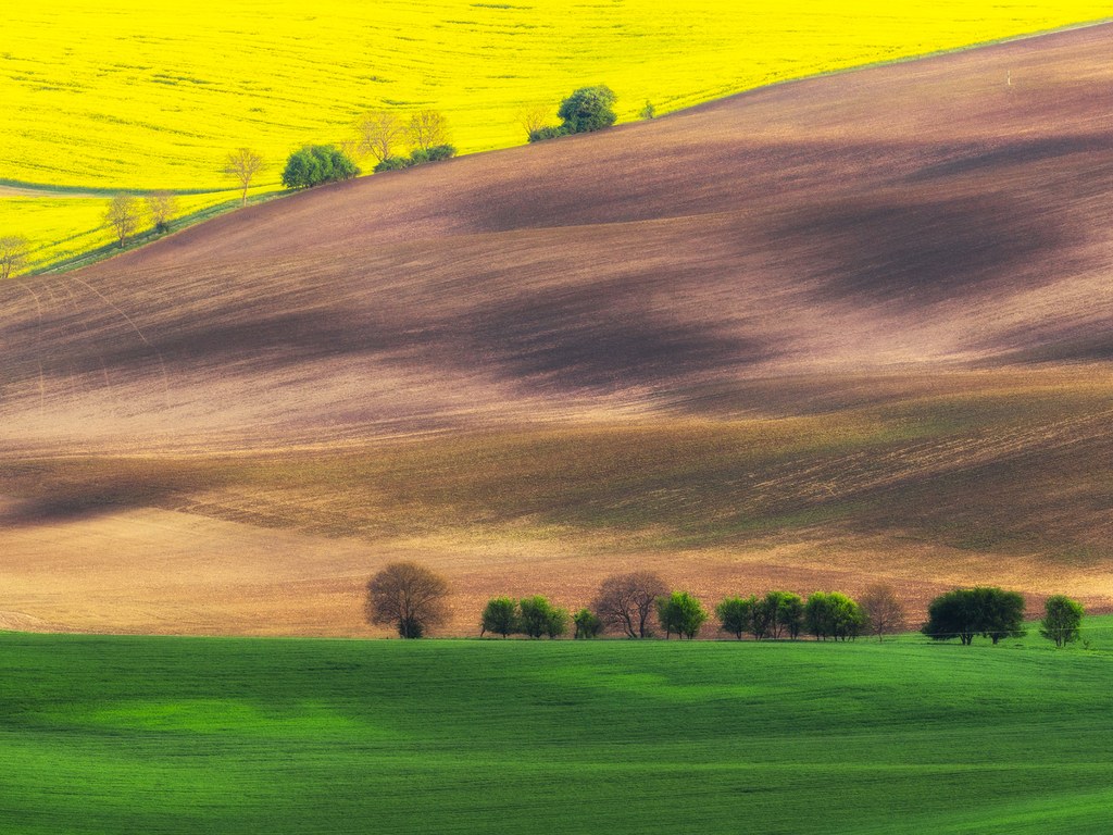 moravian-fields-czech-republic-cr-getty.jpg