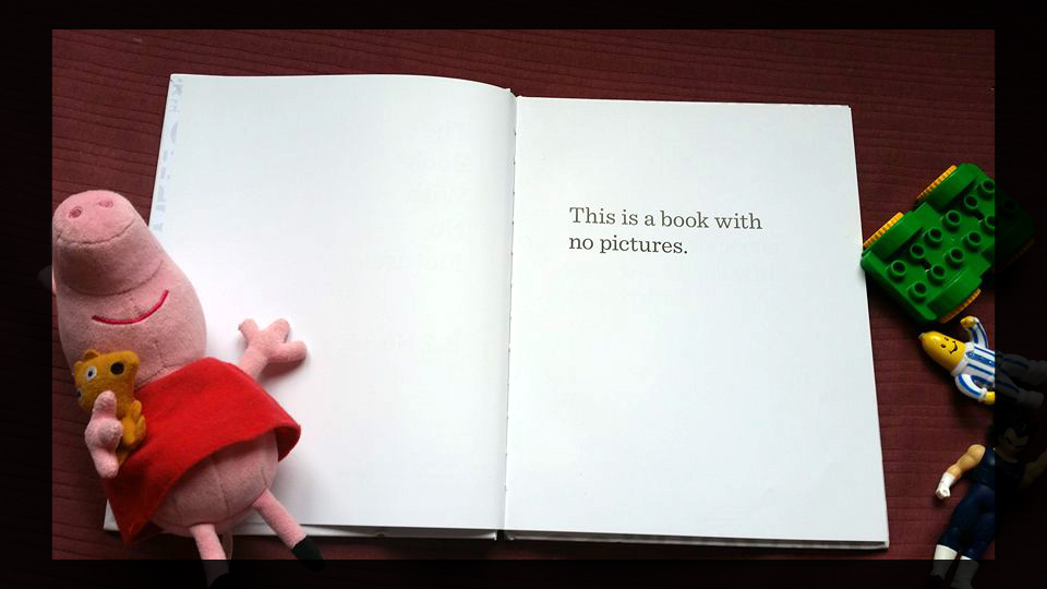 this is the book.jpg