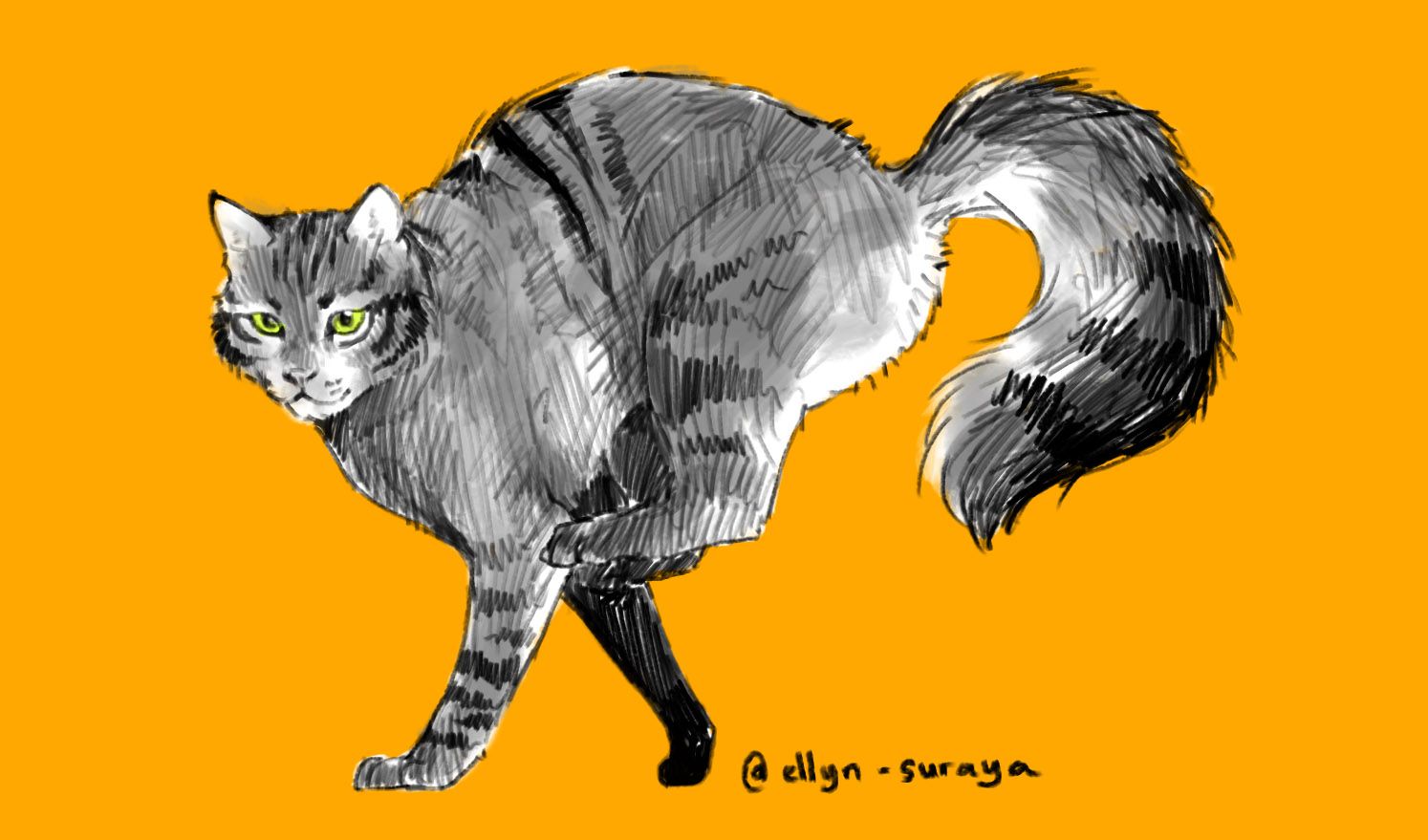 Daily Cat Drawings_19.jpg