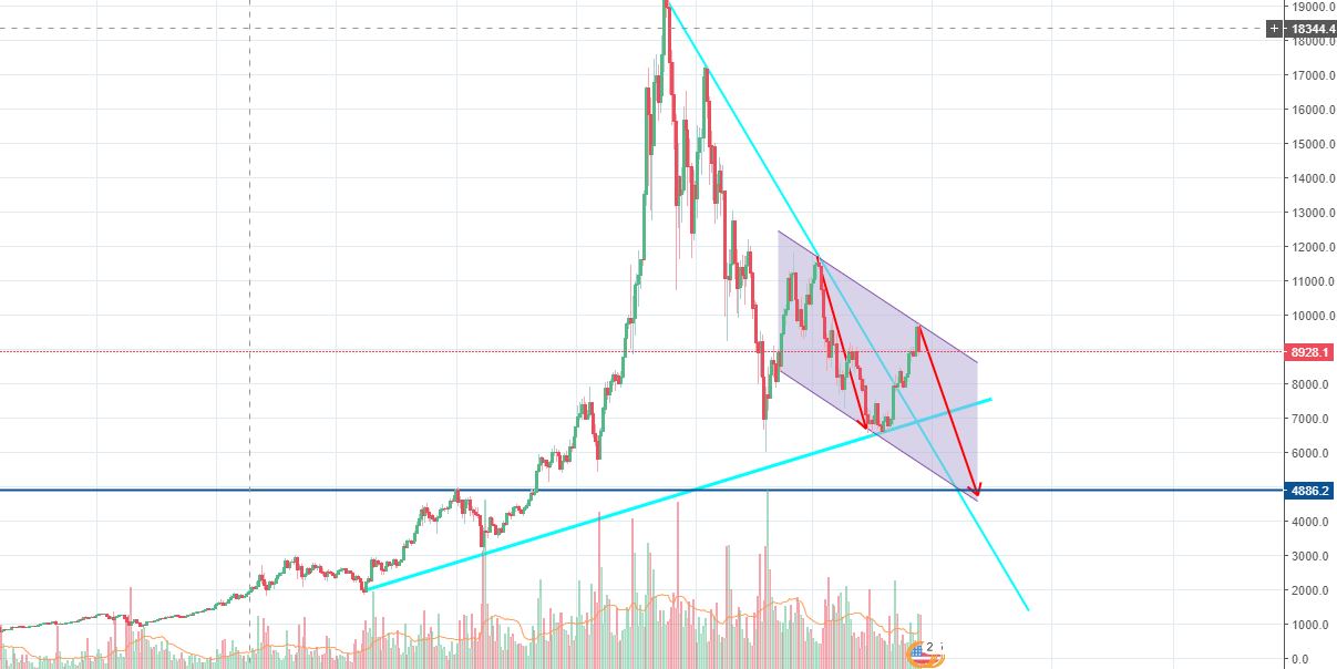 btc.JPG