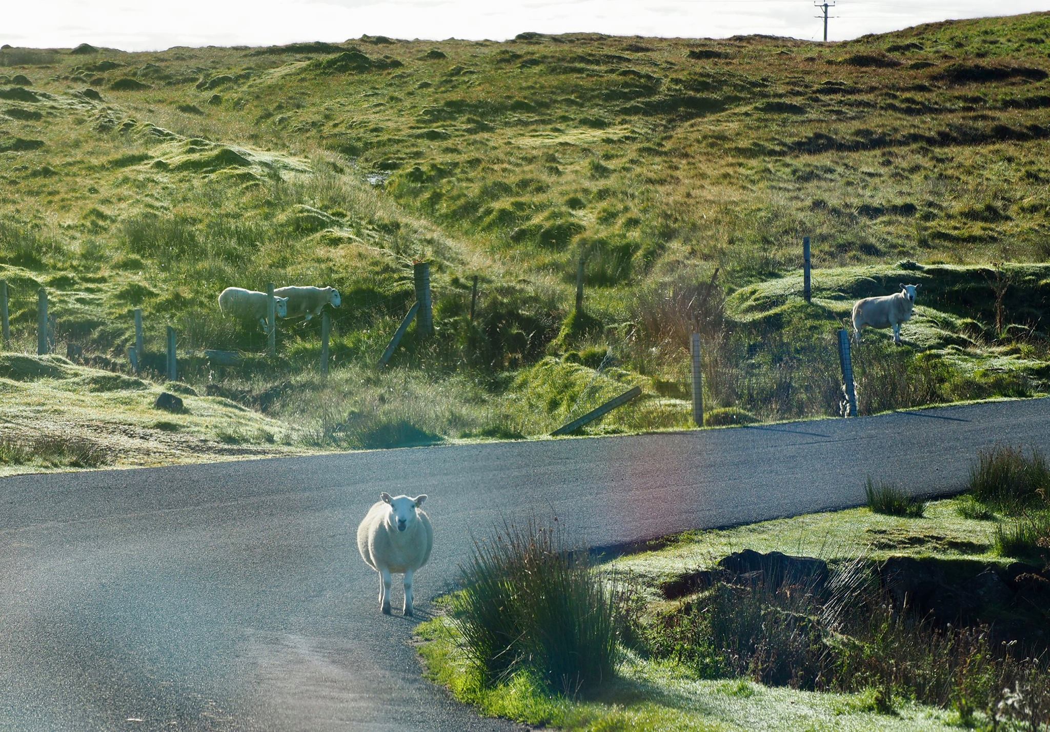 Isle of Skye 09.jpg