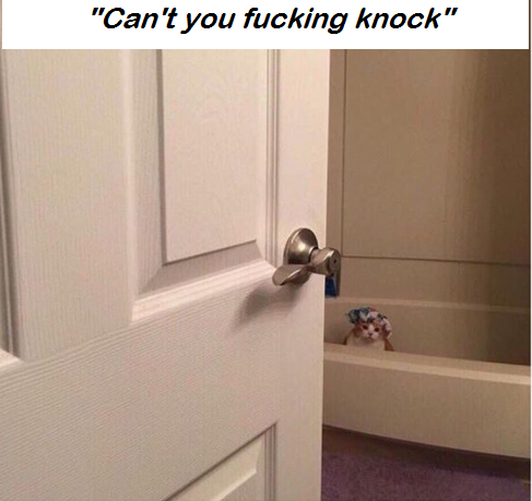 knock 1.png