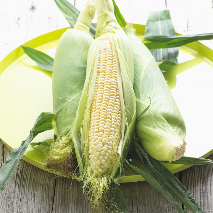 corn-356110_960_720.jpg