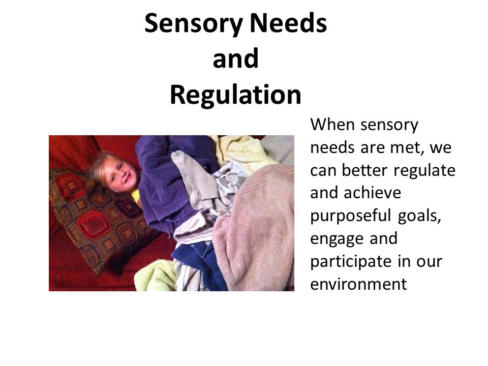 Sensory+Needs+and+Regulation.jpg