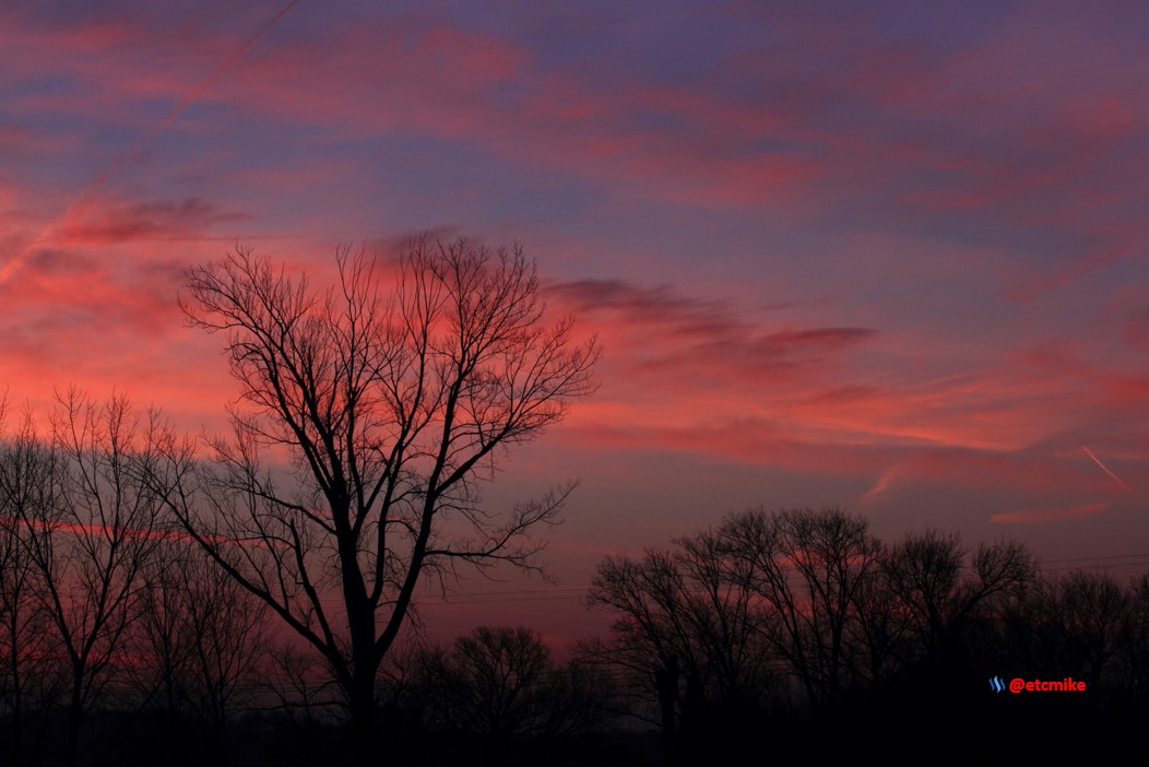 pink sunrise dawn SR15-14.JPG