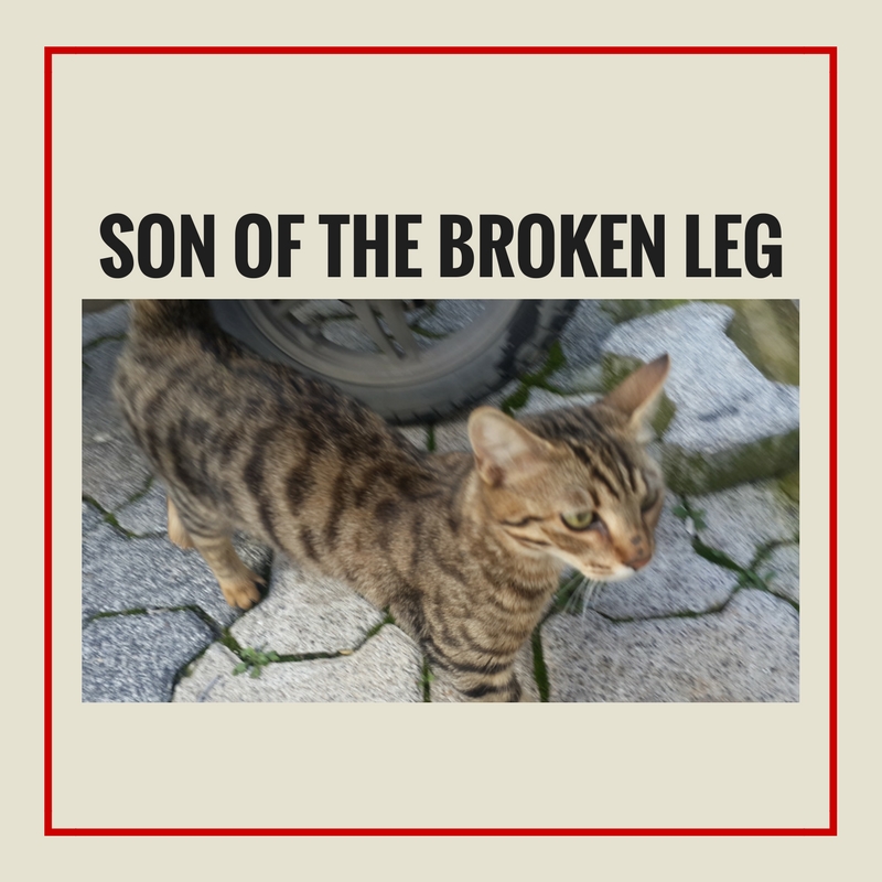 Son of the Broken Leg.jpg
