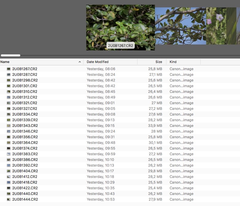 List of pictures.jpg