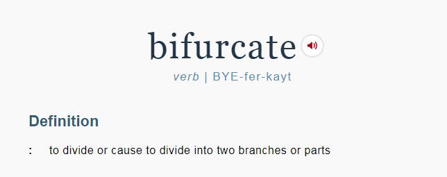 17 Cropped - bifurcate.jpg