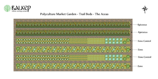 Aceaes_polyculture_research_garden.jpg