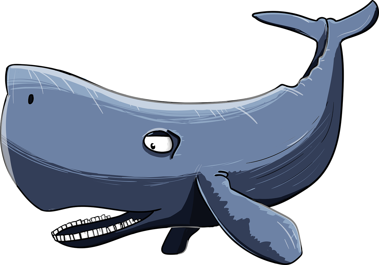 sperm-whale-3170560_1280.png