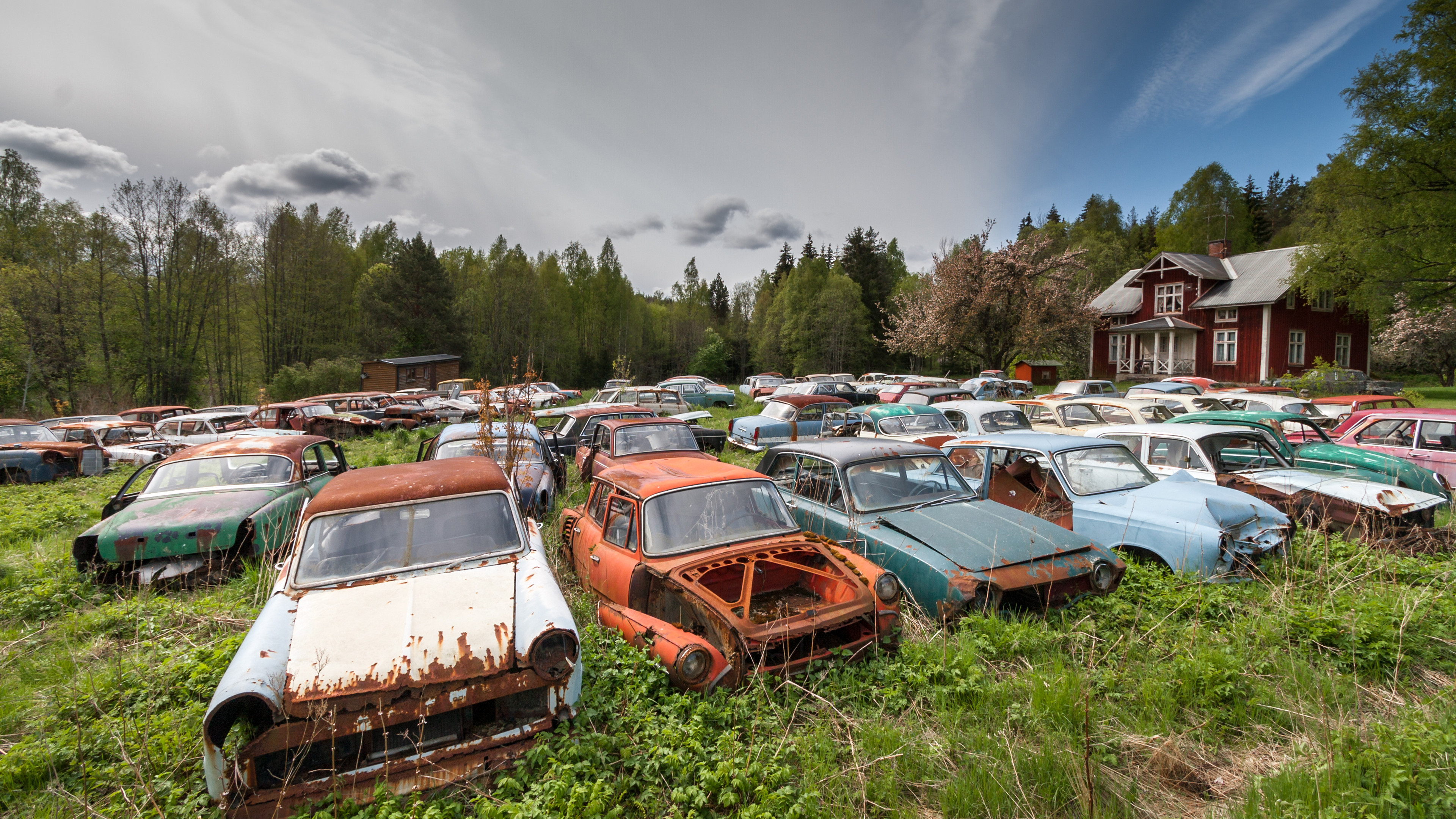 Sweden's classic car graveyard.jpg