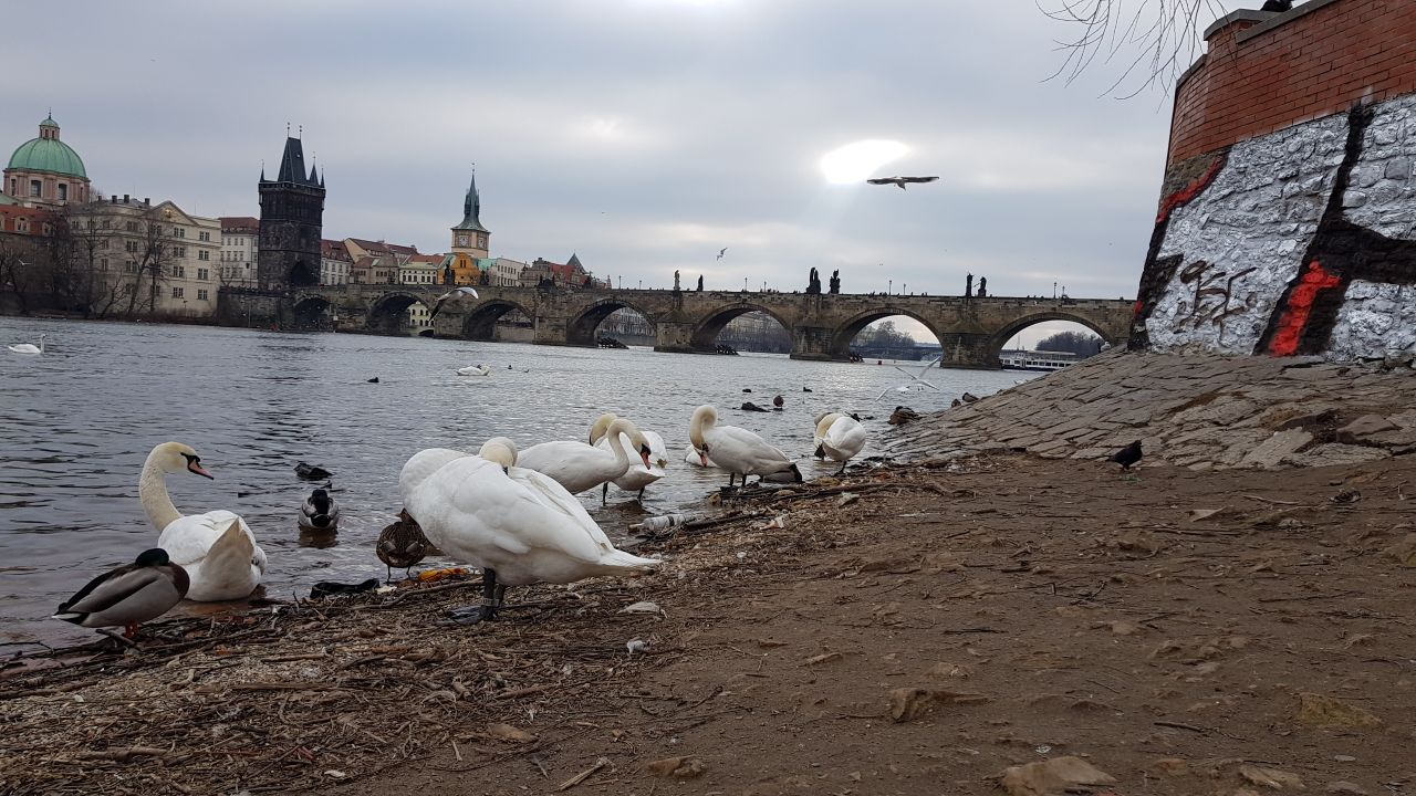 IMAGE 2018-01-15 21:09:59.jpg