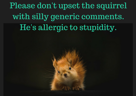 SQUIRREL.png