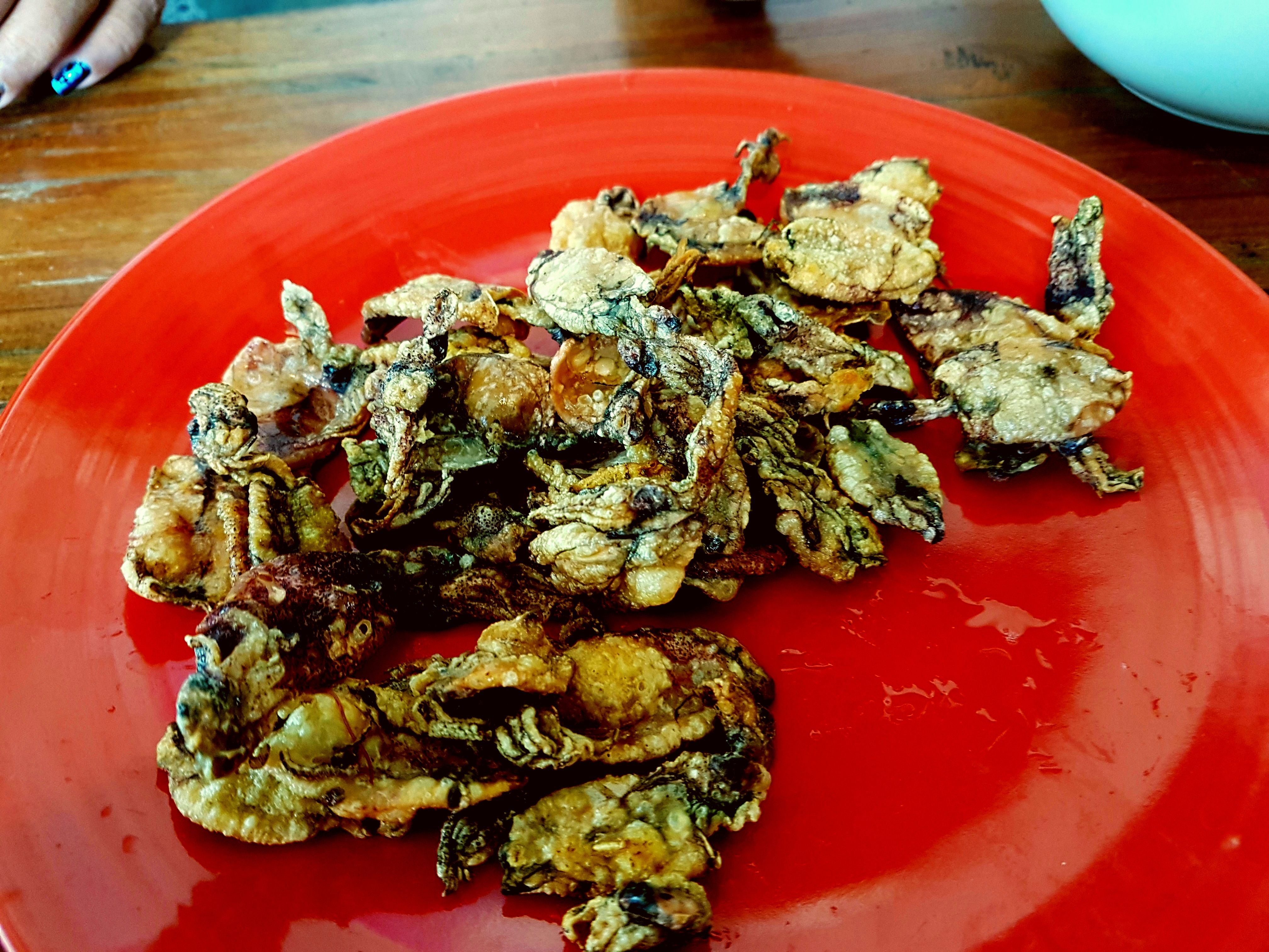 20180325_054743.jpg