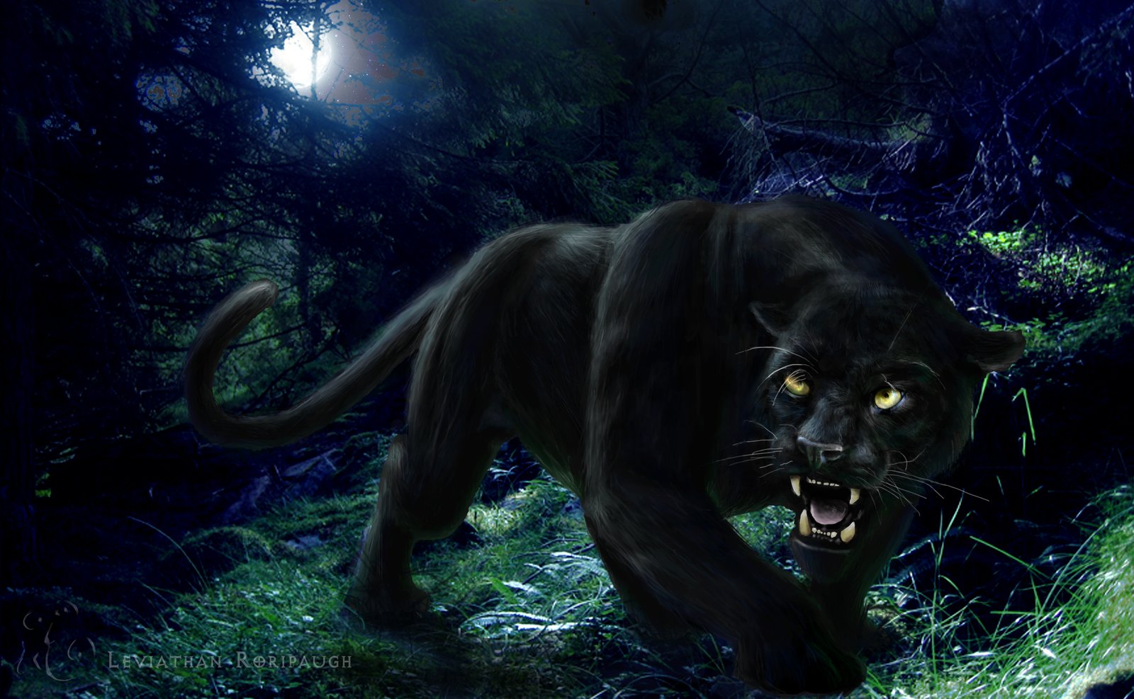 Black_Panther_in_Forest_by_sayjinlink.jpg