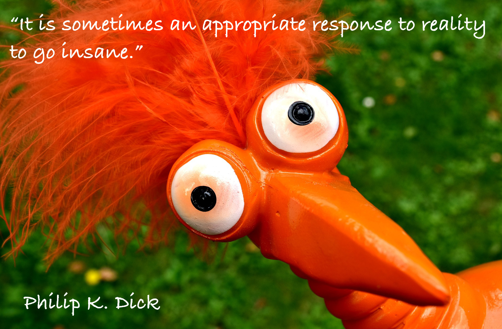 It is sometimes an appropriate response to reality to go insane.