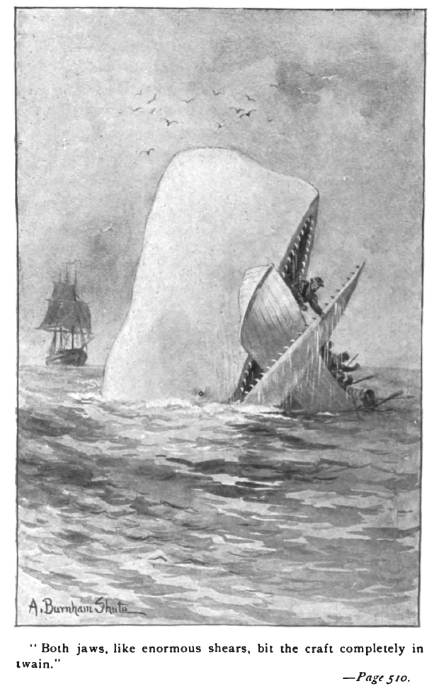 Moby_Dick_p510_illustration.jpg