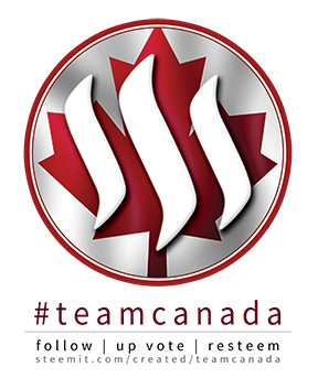TEAMCANADA-SIGN - smallest.png