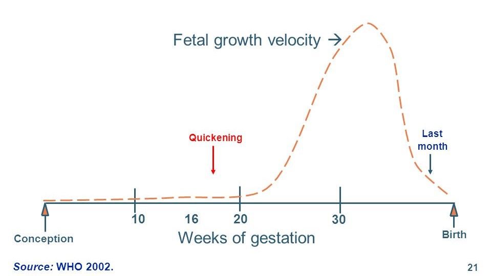 Fetal+Growth+Velocity-+Quickening.jpg