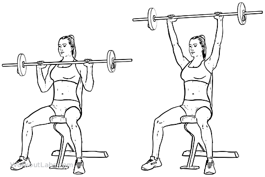 Seated_Barbell_Military_Press_F_WorkoutLabs.png