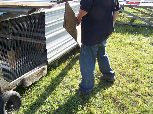 Mobile coop - removing side boards1 crop July 10.jpg