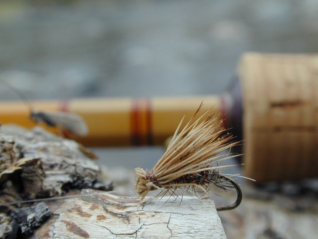 wallpaper_flyfishing.jpg