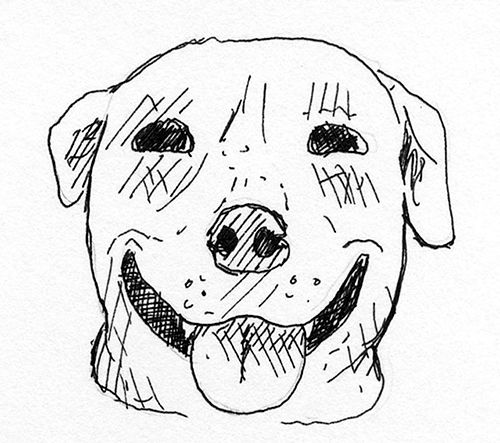 dog smile927.jpg