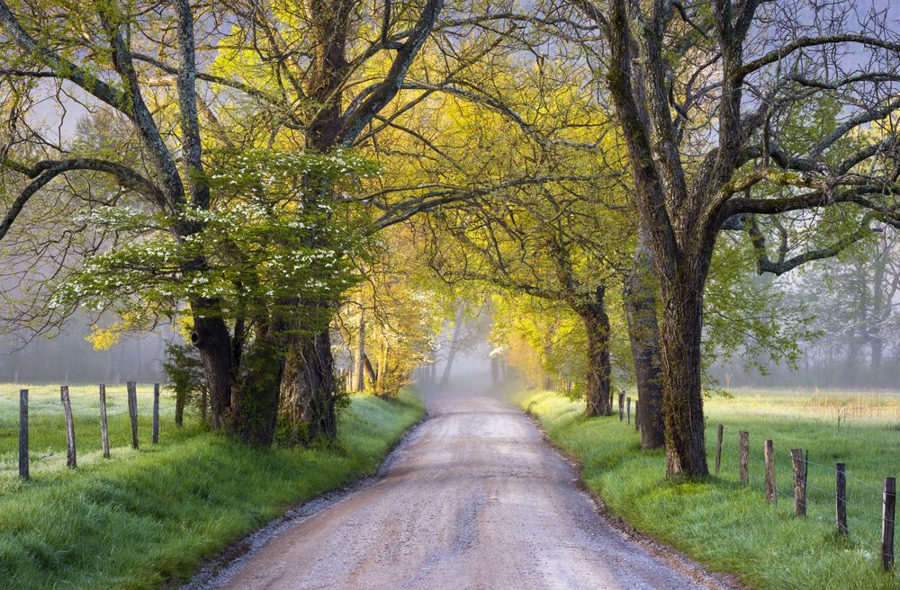 cade cove bike ride.jpg