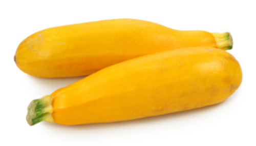 summer squash.jpg