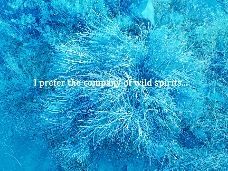 wild-spirit.jpg