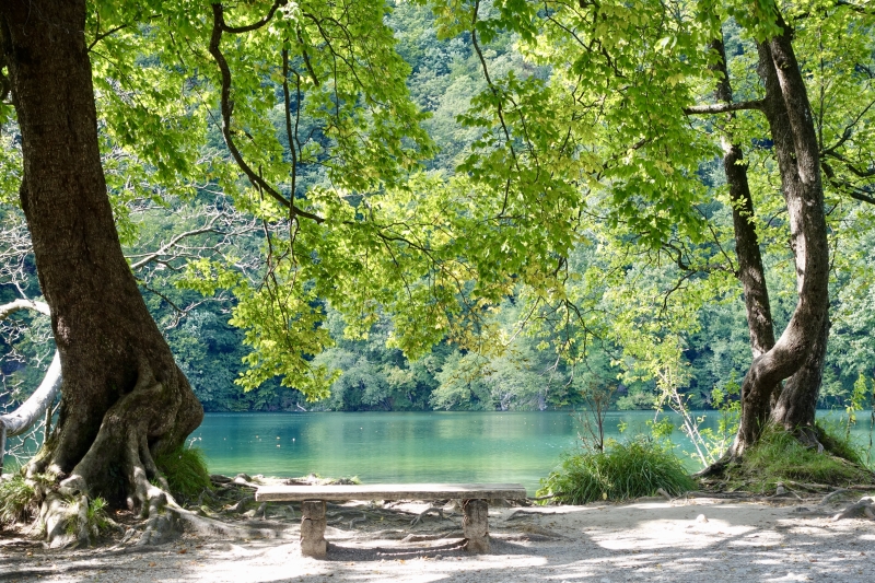 THIS is Croatia_bench at Plitvice.jpeg