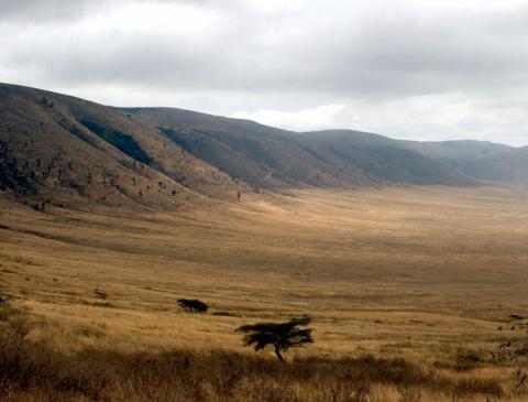 tanzania_ngorongoro_crater_national_park_dusty.jpg
