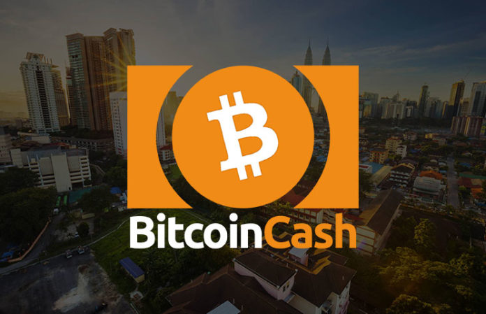 bitcoin-cash-696x449.jpg