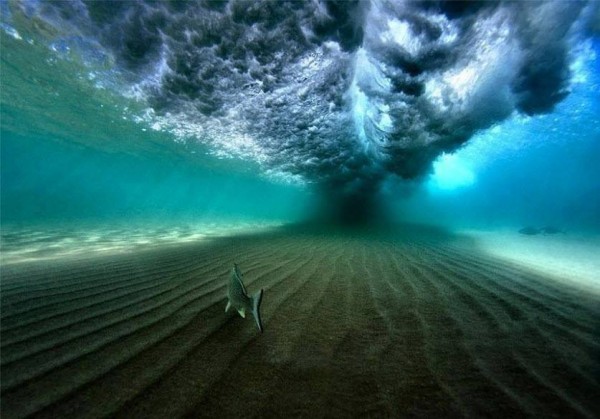 Incredible-Photograph-Taken-Underneath-a-Breaking-Wave-off-the-Coast-of-Hawaii.jpg