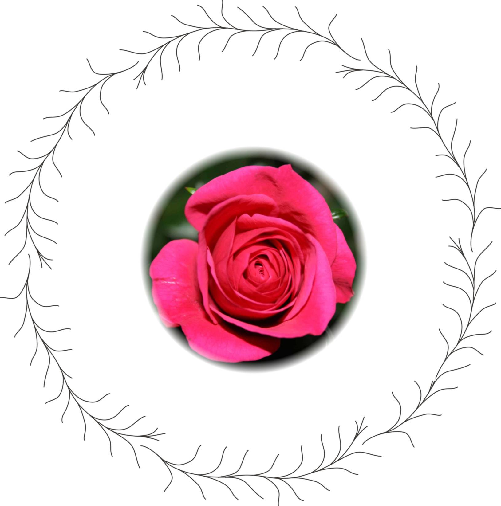 rose in wreath.jpg