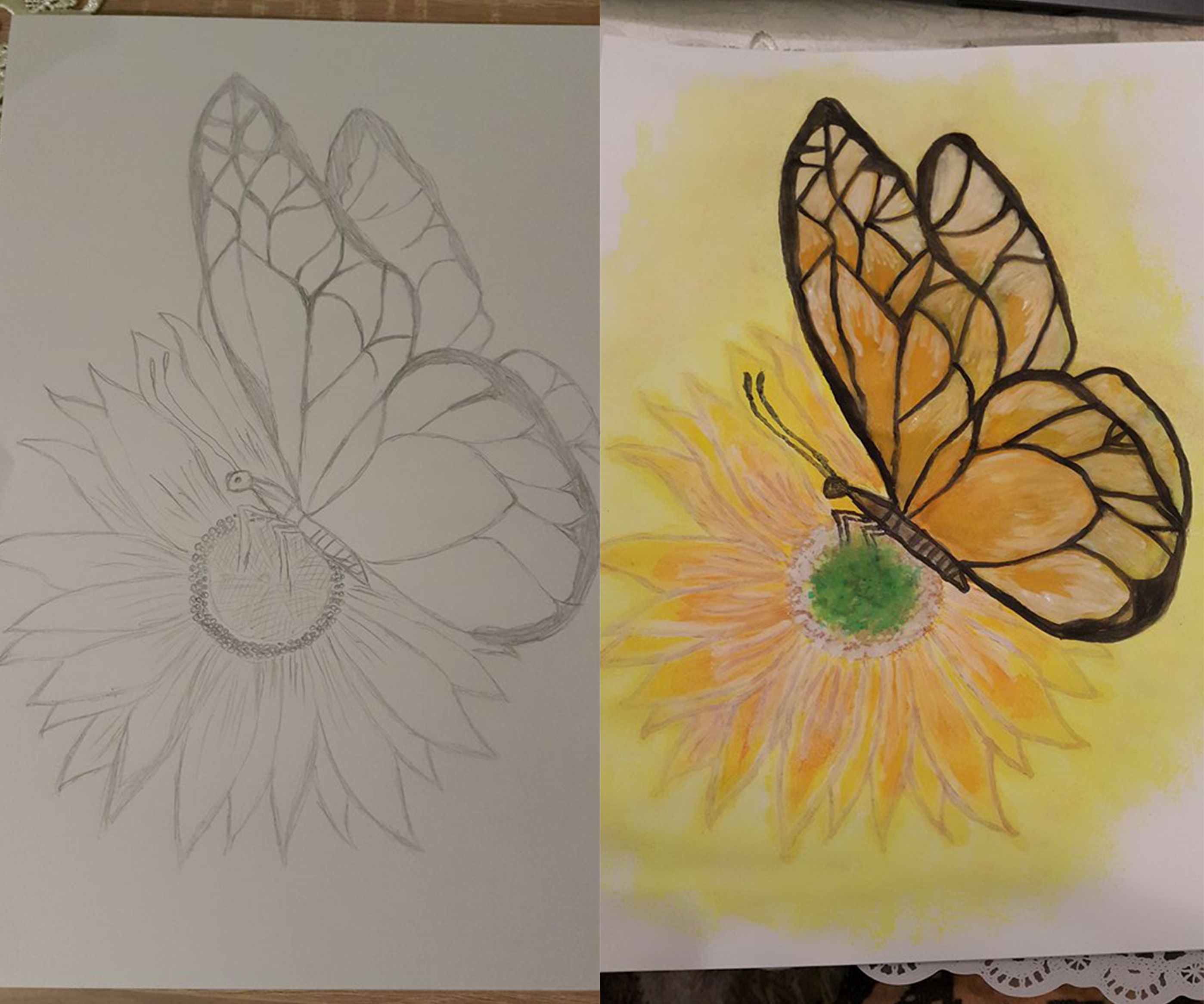 butterfly pencil drawing