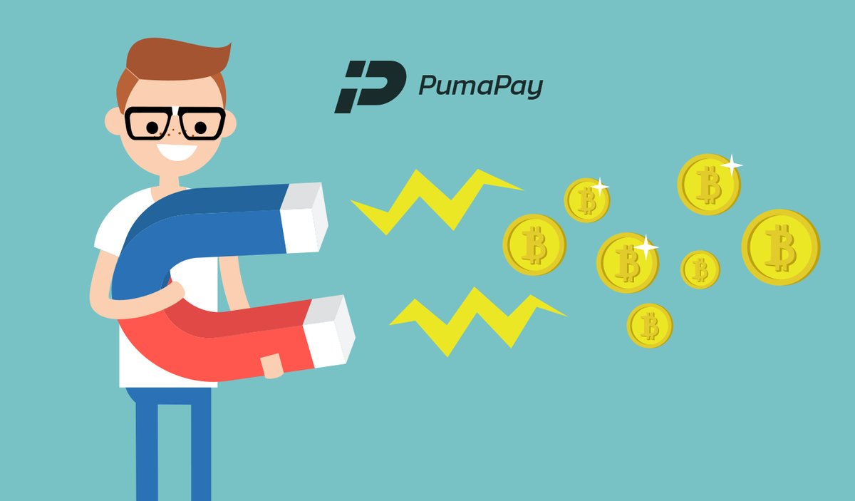 pumapay 2.jpg