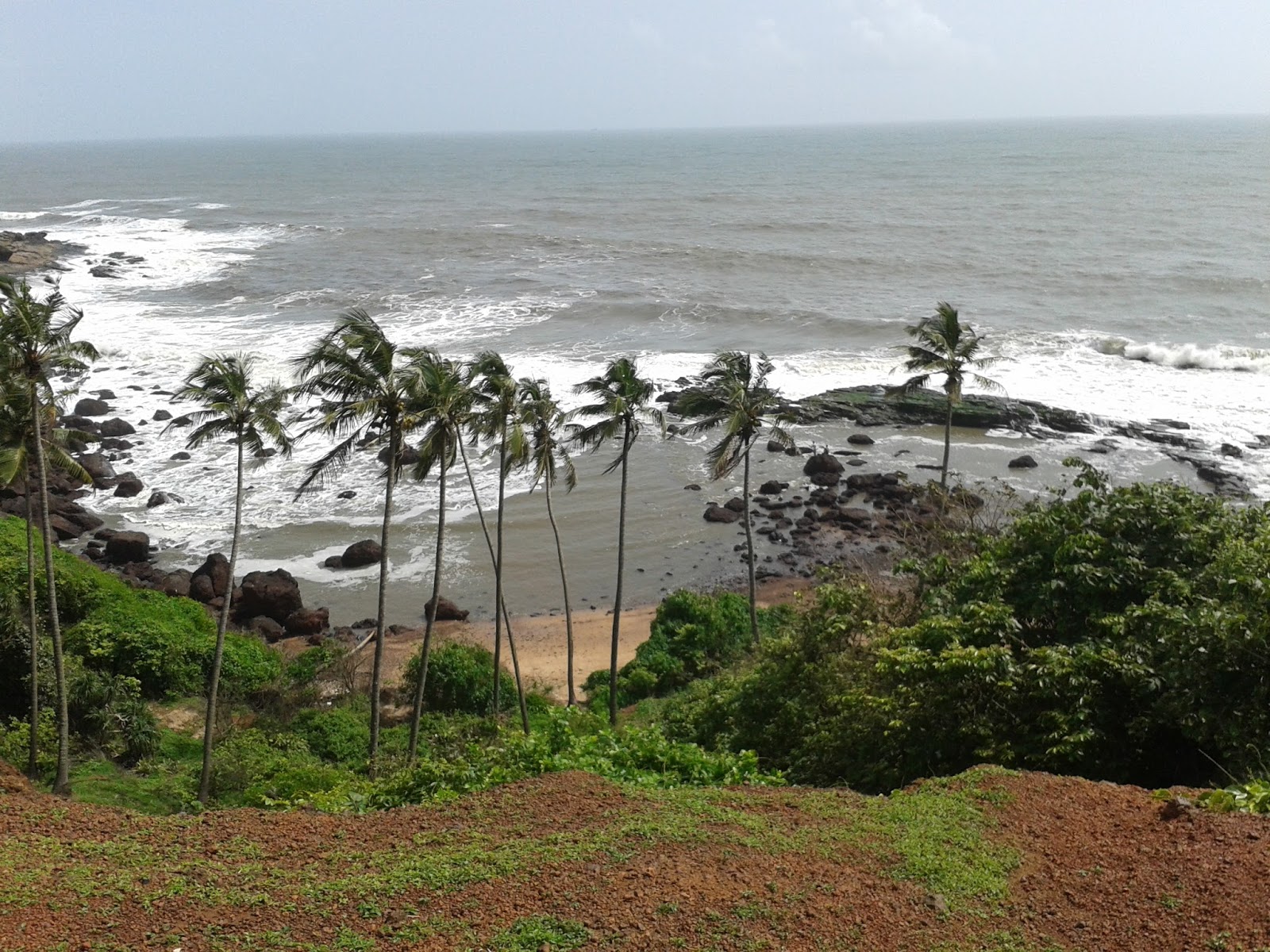 2014 - Goa 1.jpg