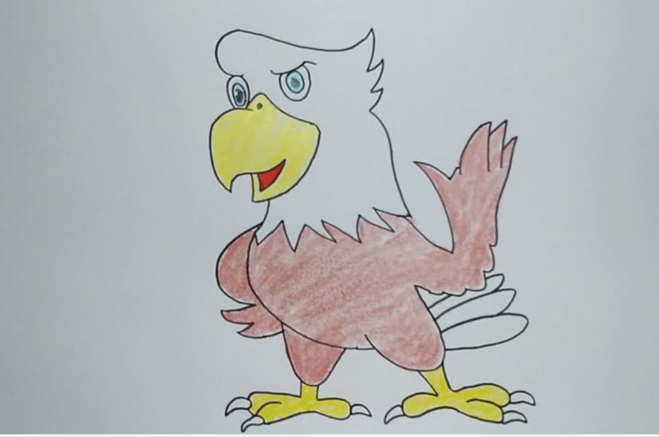 Drawing a Cartoon Eagle — Steemit