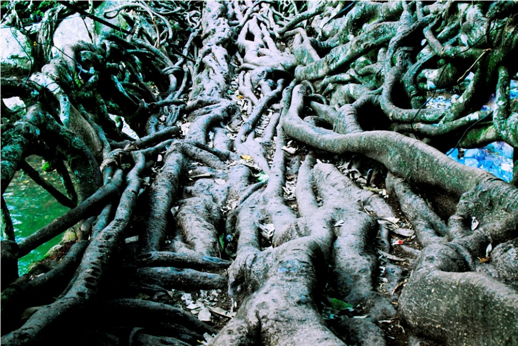 jembatan-akar3-large.jpg