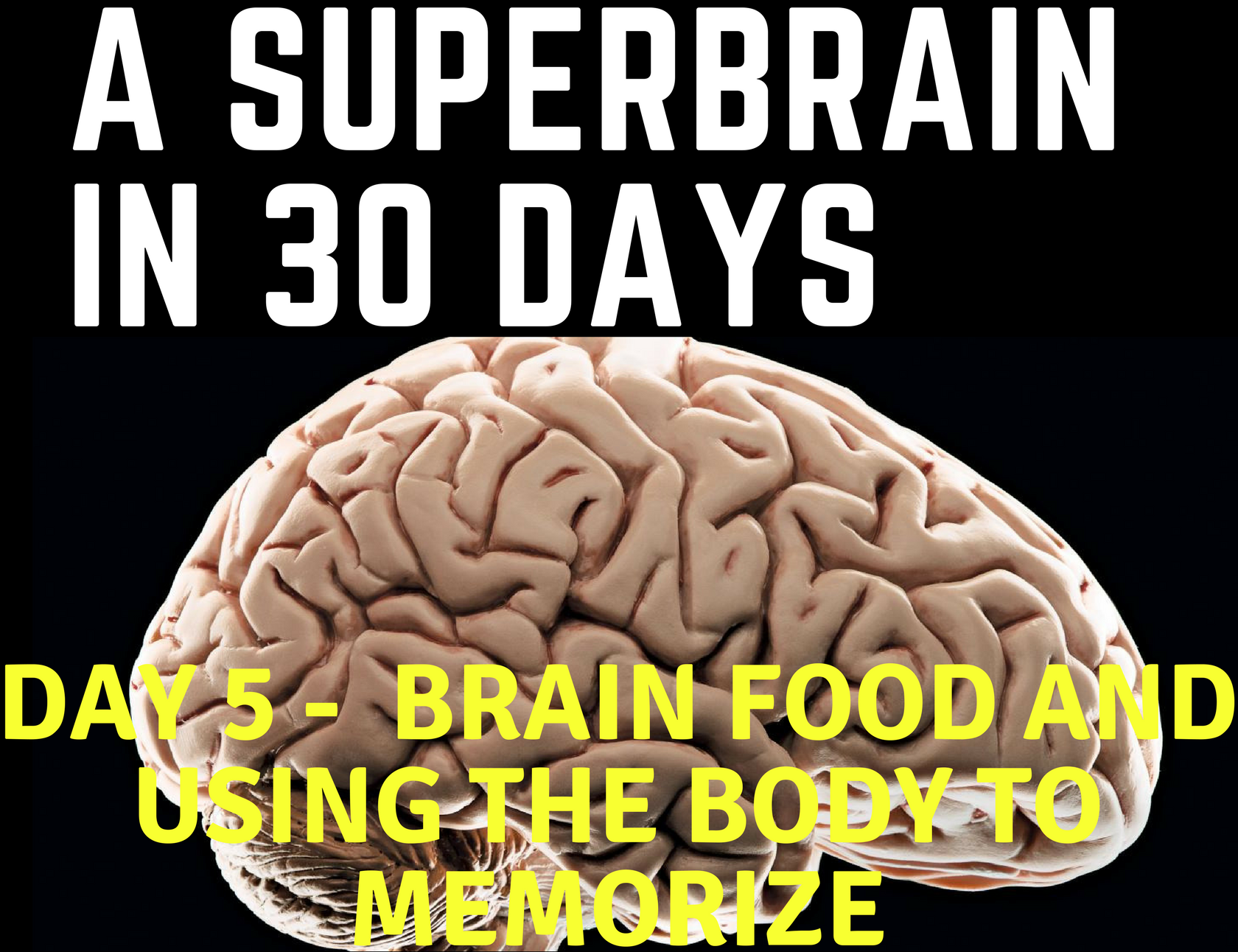 jim kwik brain app jim kwik brain app