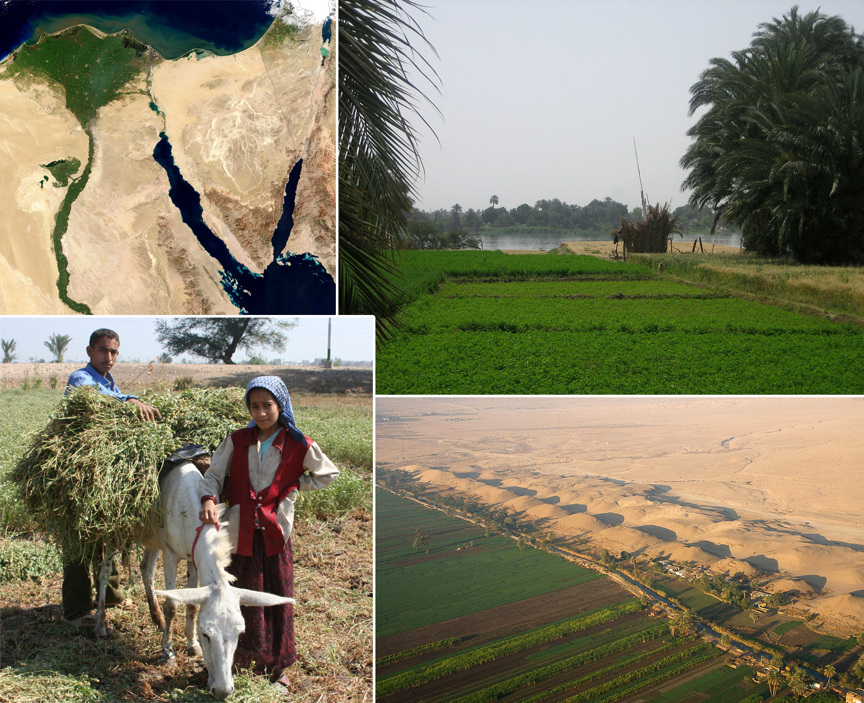 Nile103_crops,sand,water.jpg