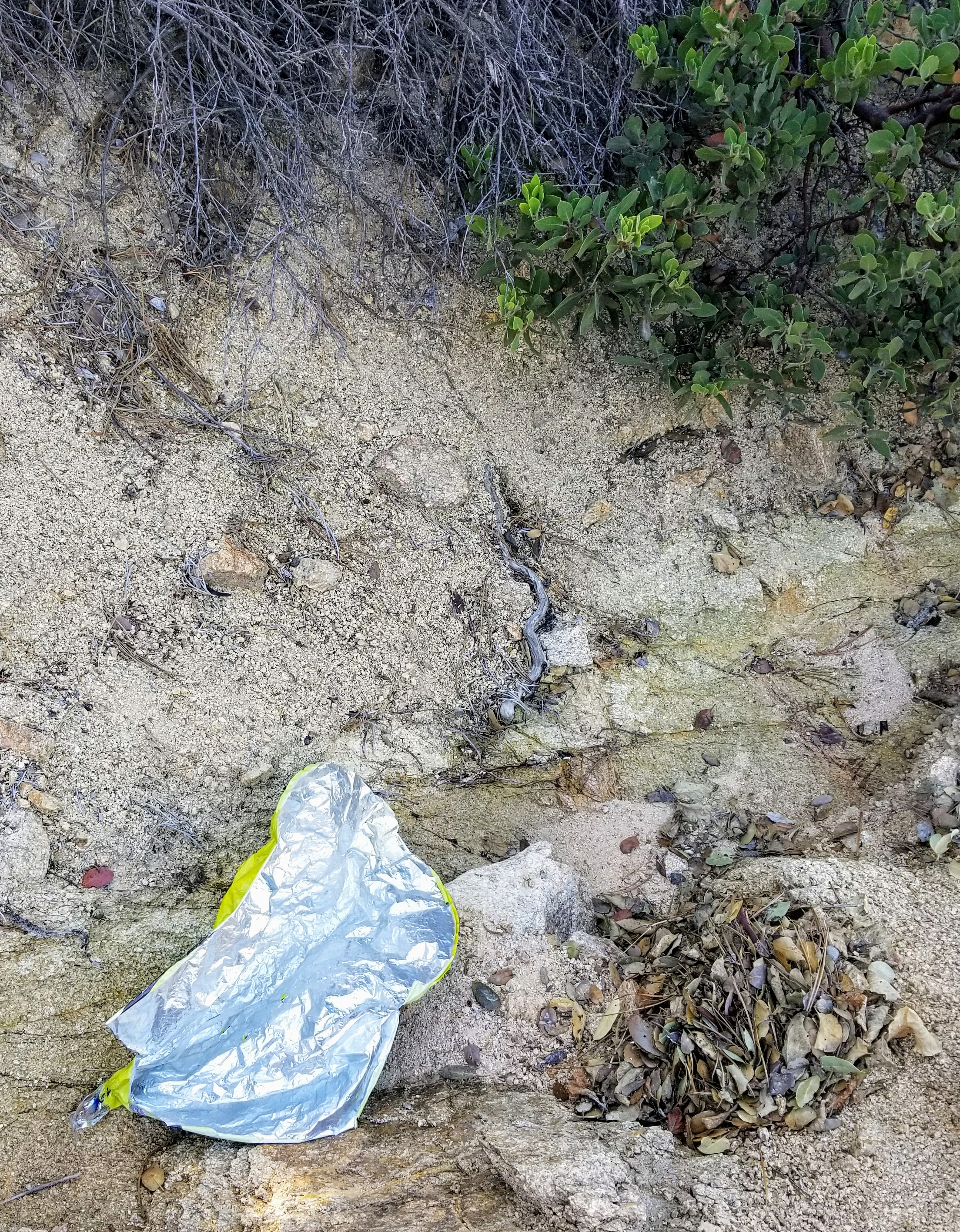 20180127_131124.jpg