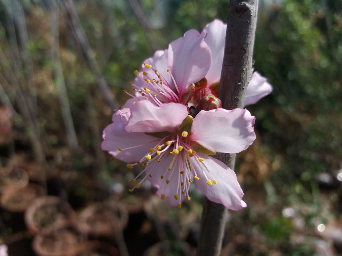 20180304_123412.jpg