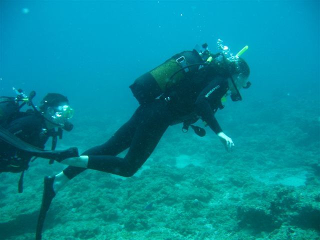 Barra Lodge Diving 2006 058.jpg