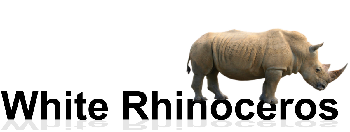 rhinoceros1.png